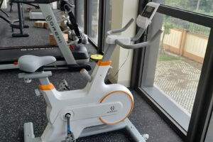 Xe đạp tập thể dục tại nhà Oreni-111