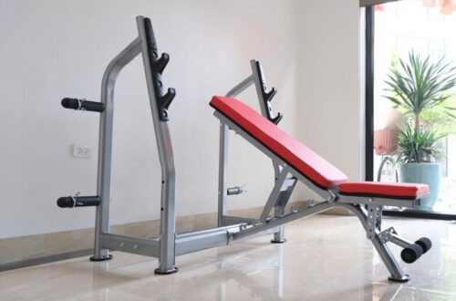 Ghế nằm đẩy tạ G02